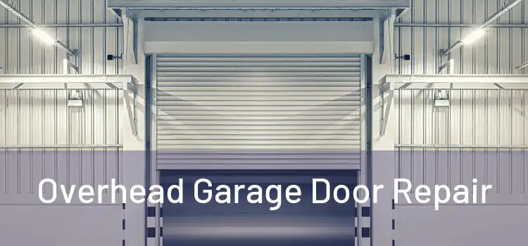 Overhead Garage Door Repair